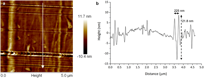 Fig. 3