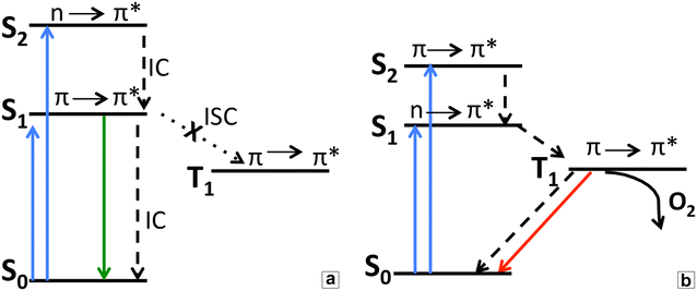 Fig. 5