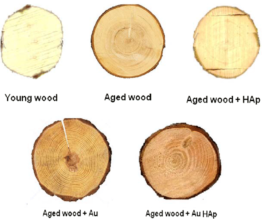 Fig. 11