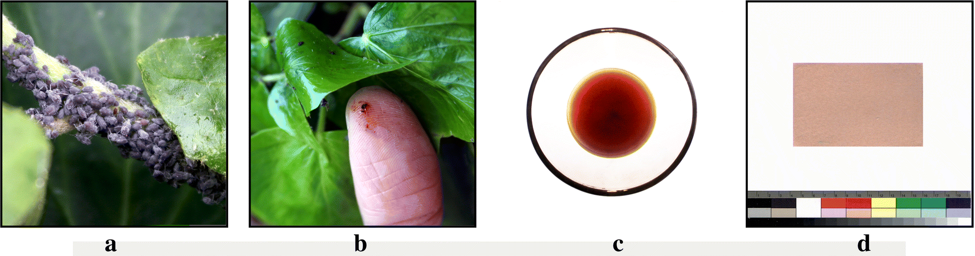 Fig. 2