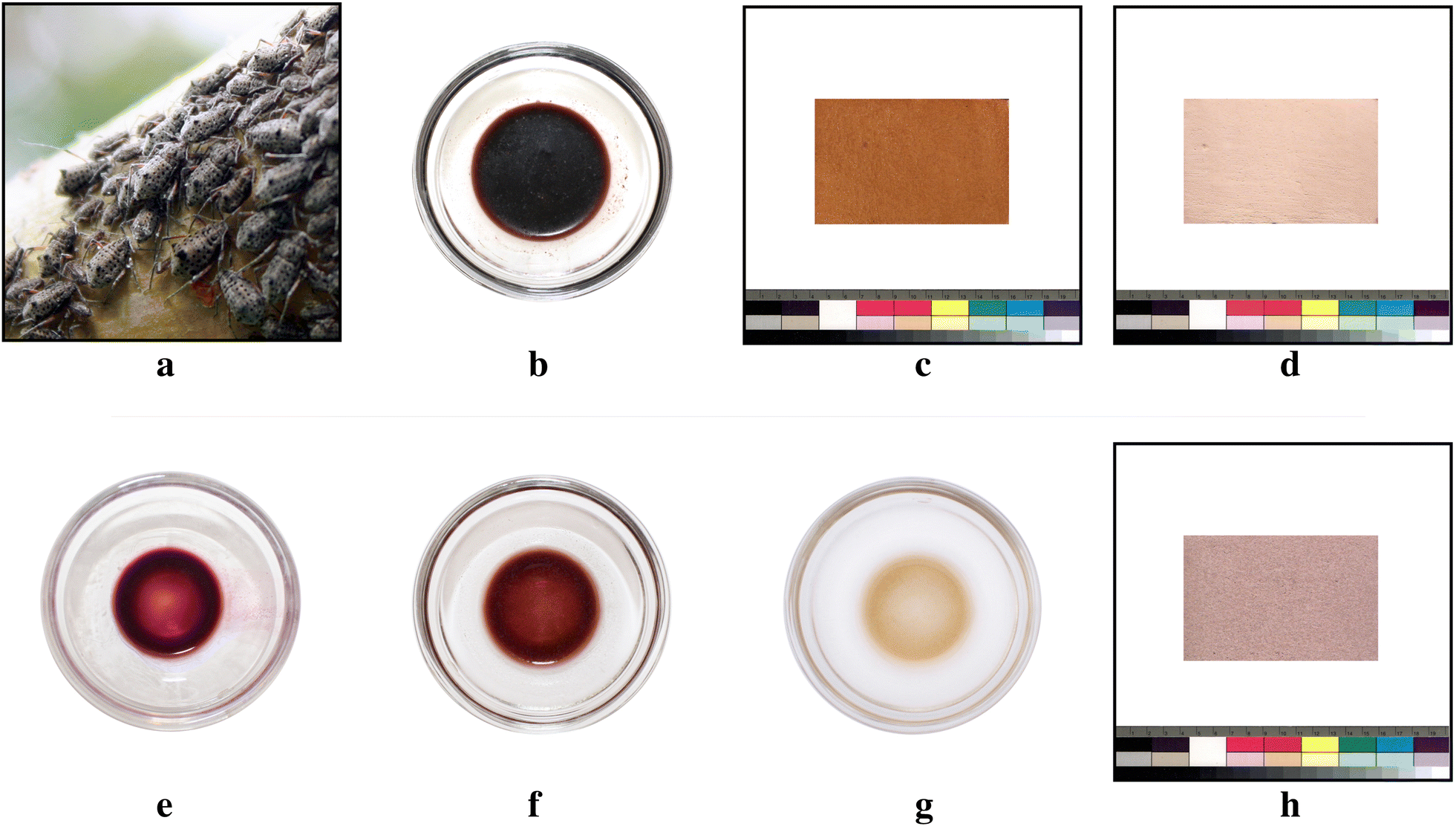 Fig. 3