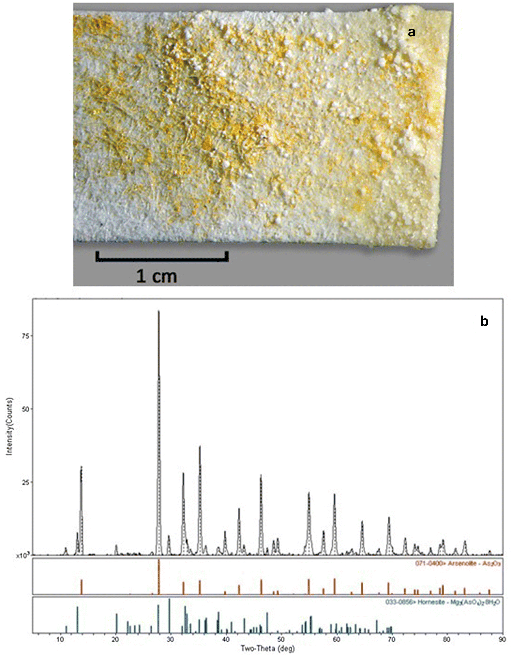 Fig. 7