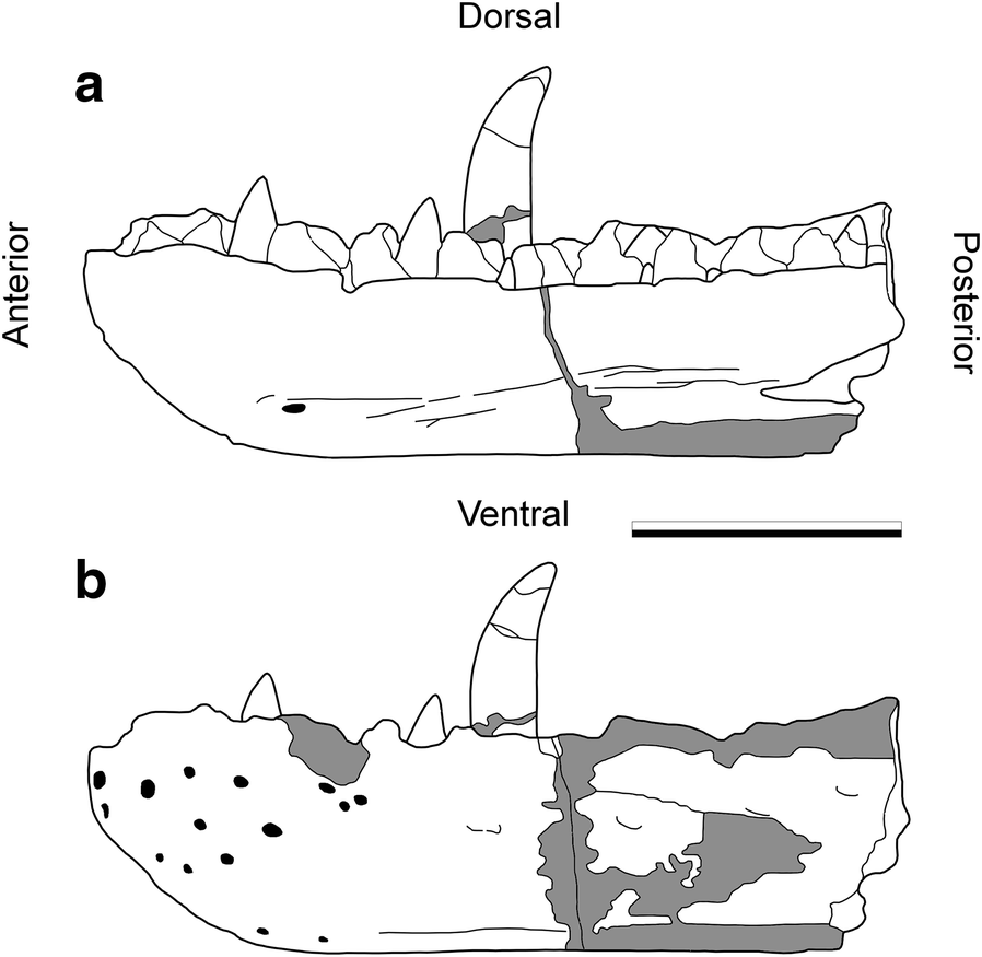 Fig. 3