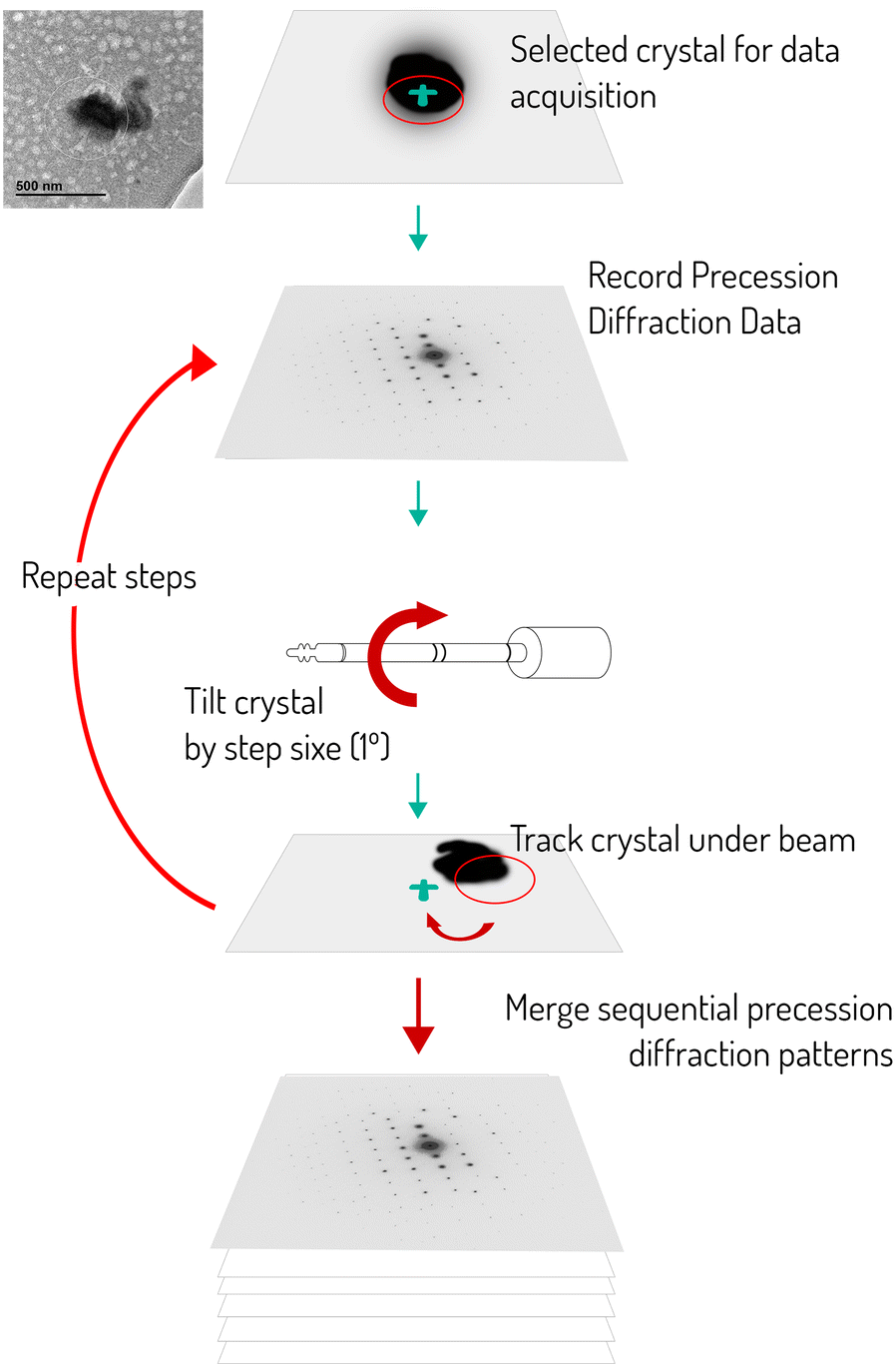 Fig. 2