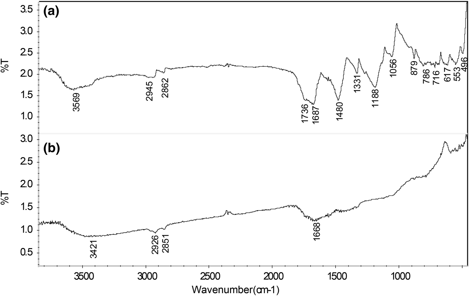 Fig. 11