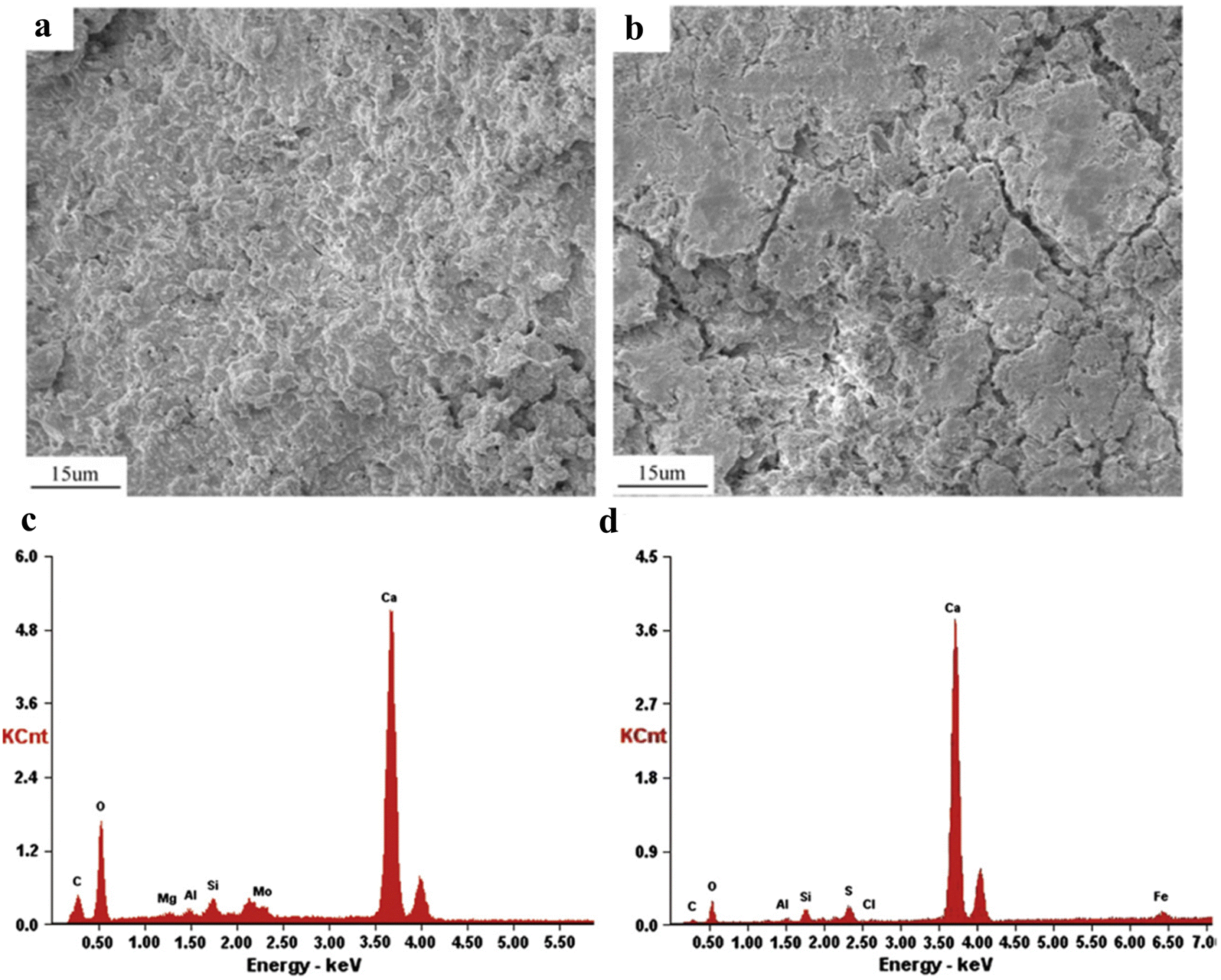 Fig. 5