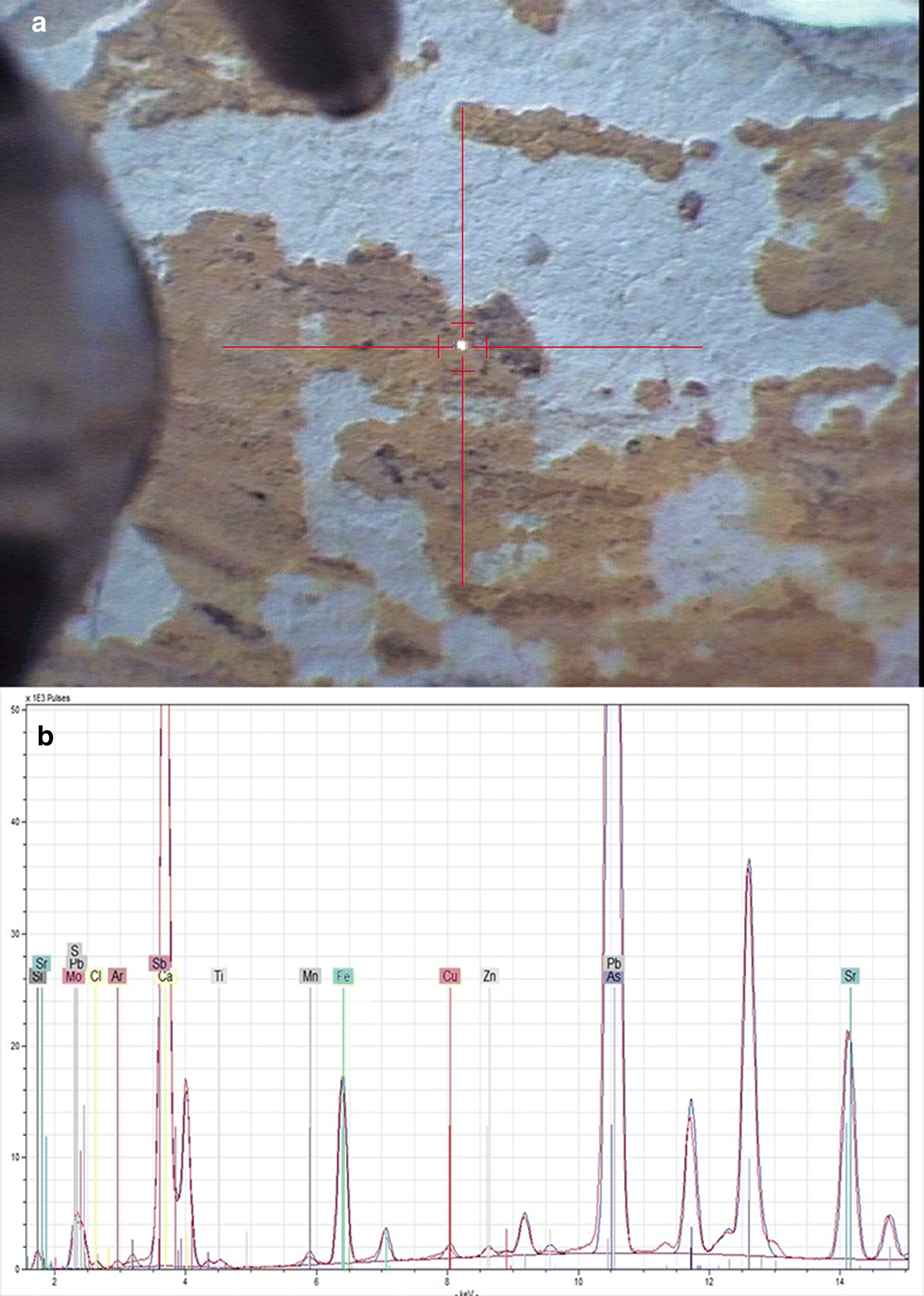 Fig. 10