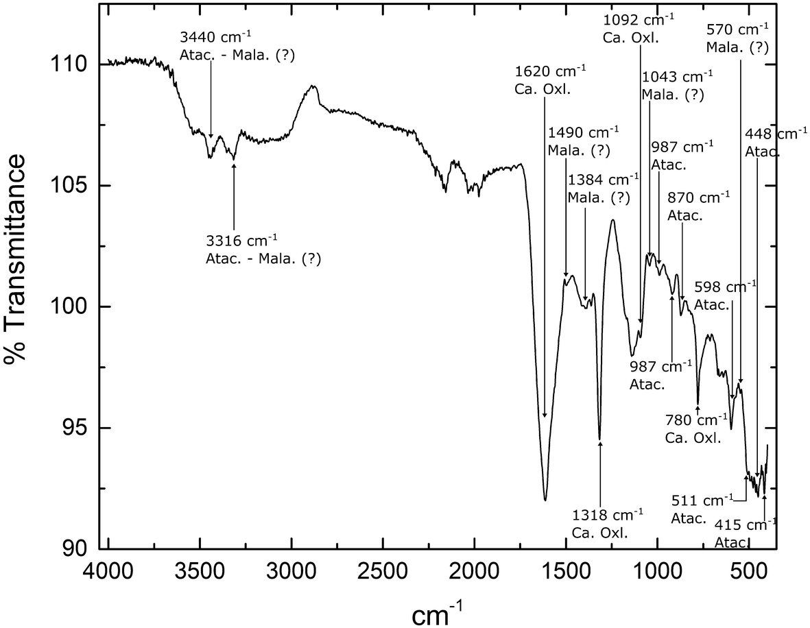 Fig. 12