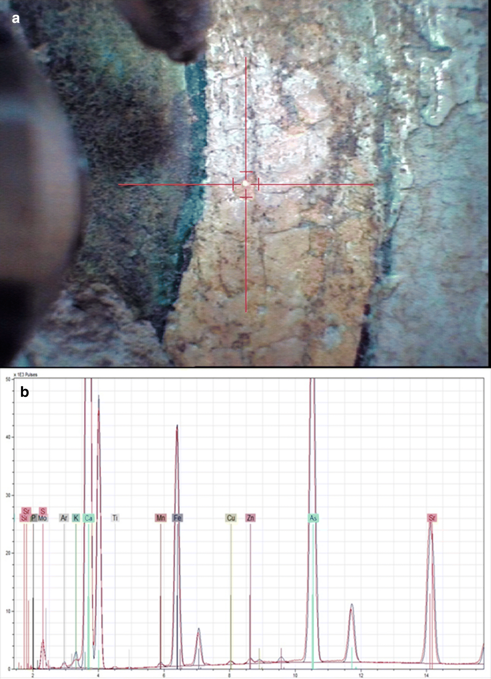 Fig. 13