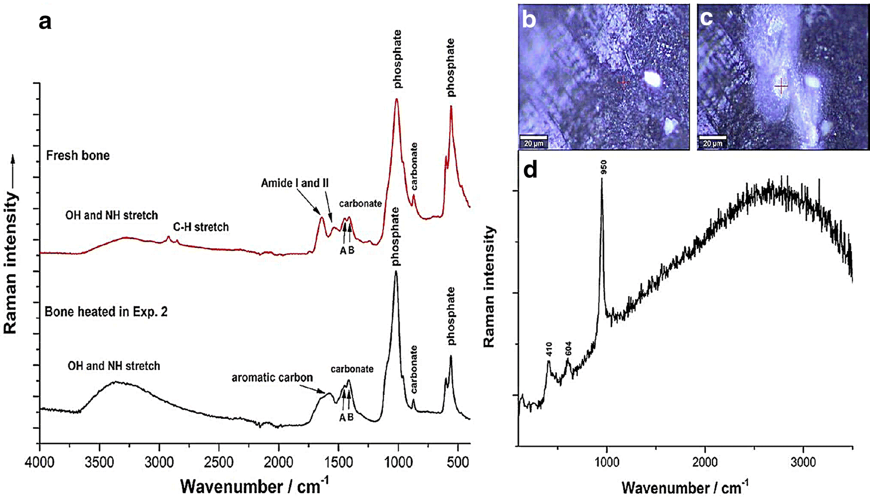 Fig. 6