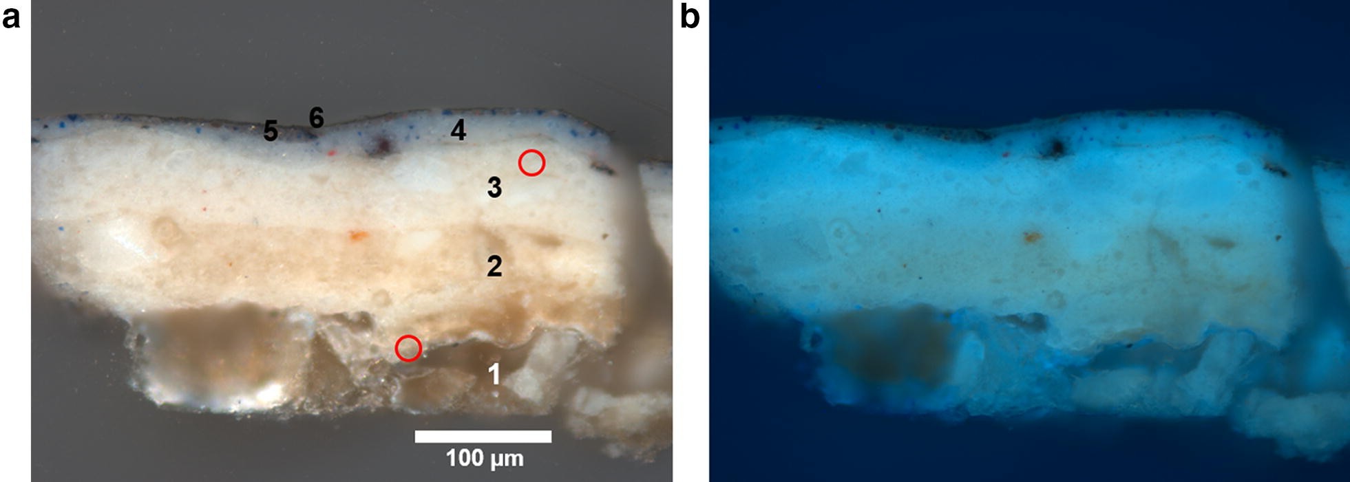 Fig. 7