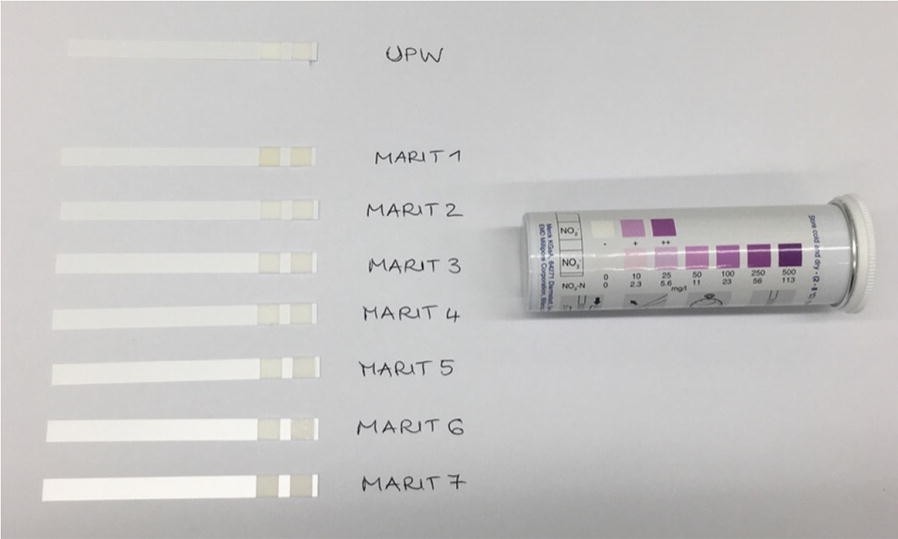 Fig. 10