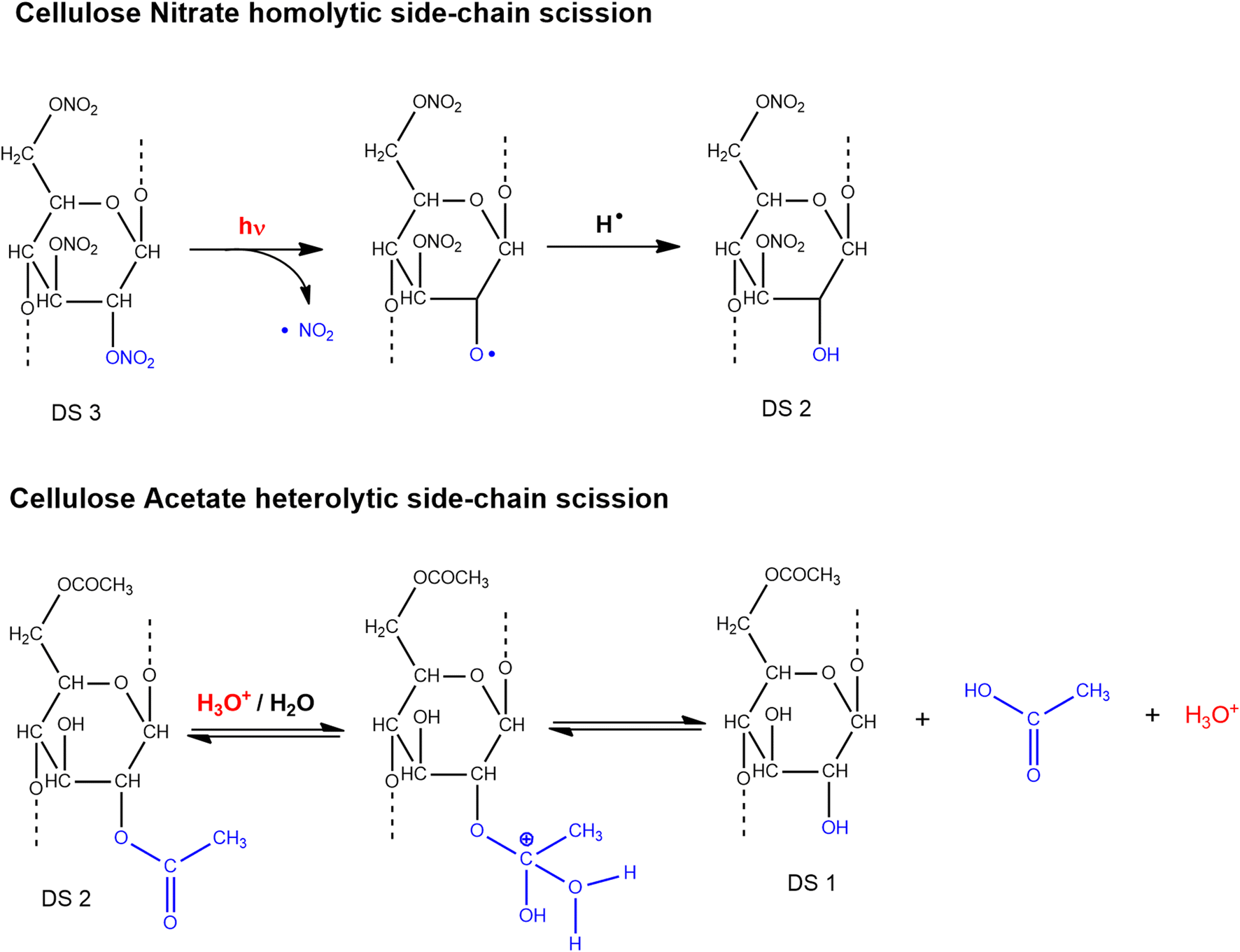 Scheme 2