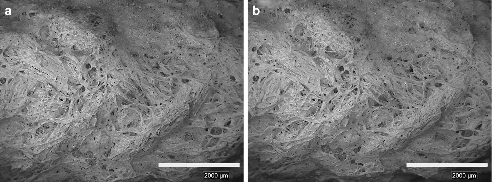 Fig. 13