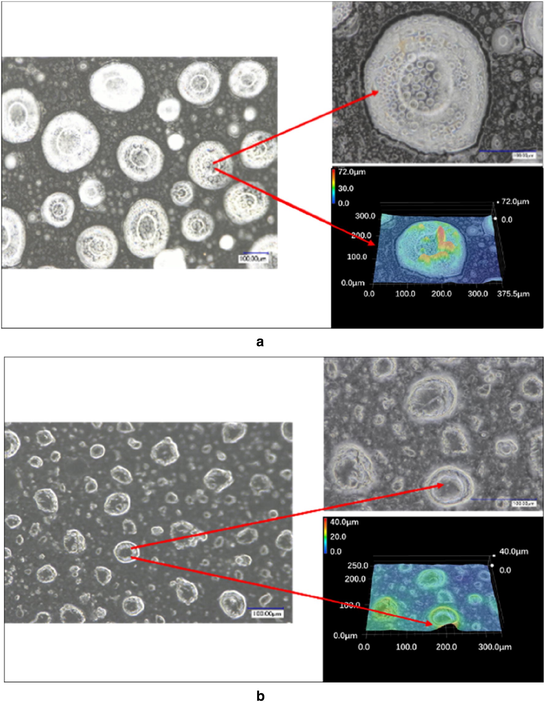 Fig. 2