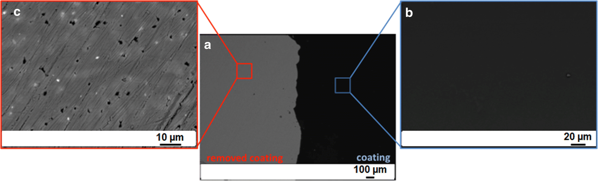 Fig. 12