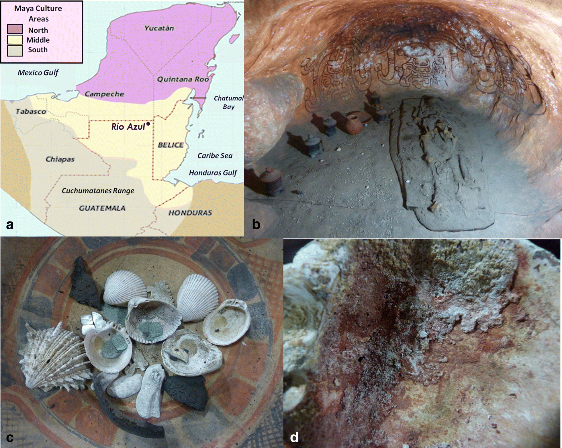 Fig. 1