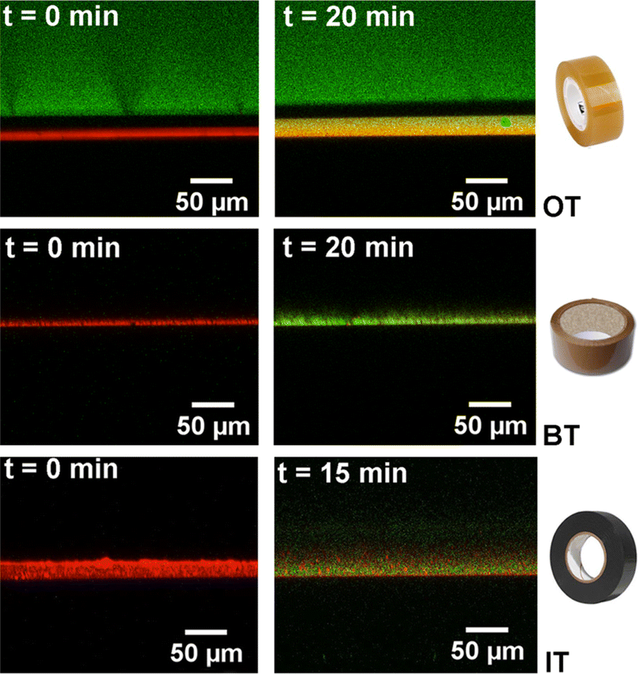 Fig. 4