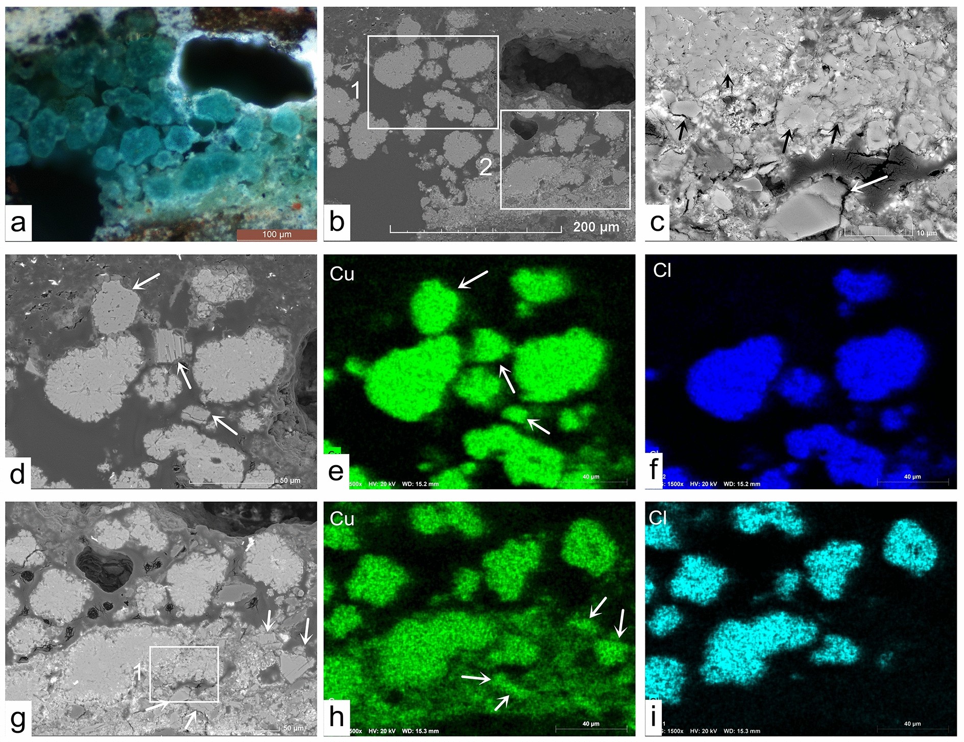 Fig. 7