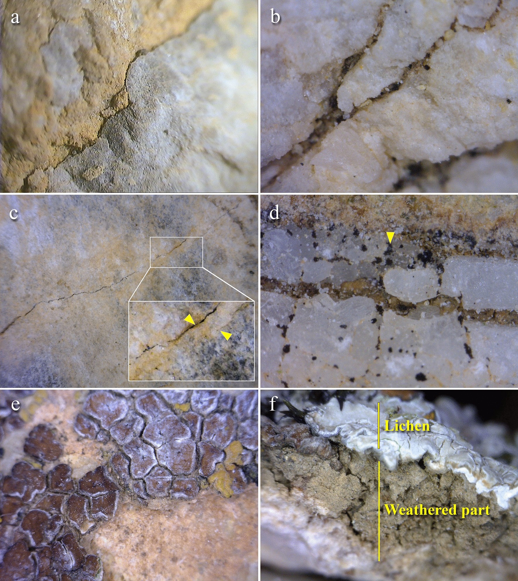 Fig. 7