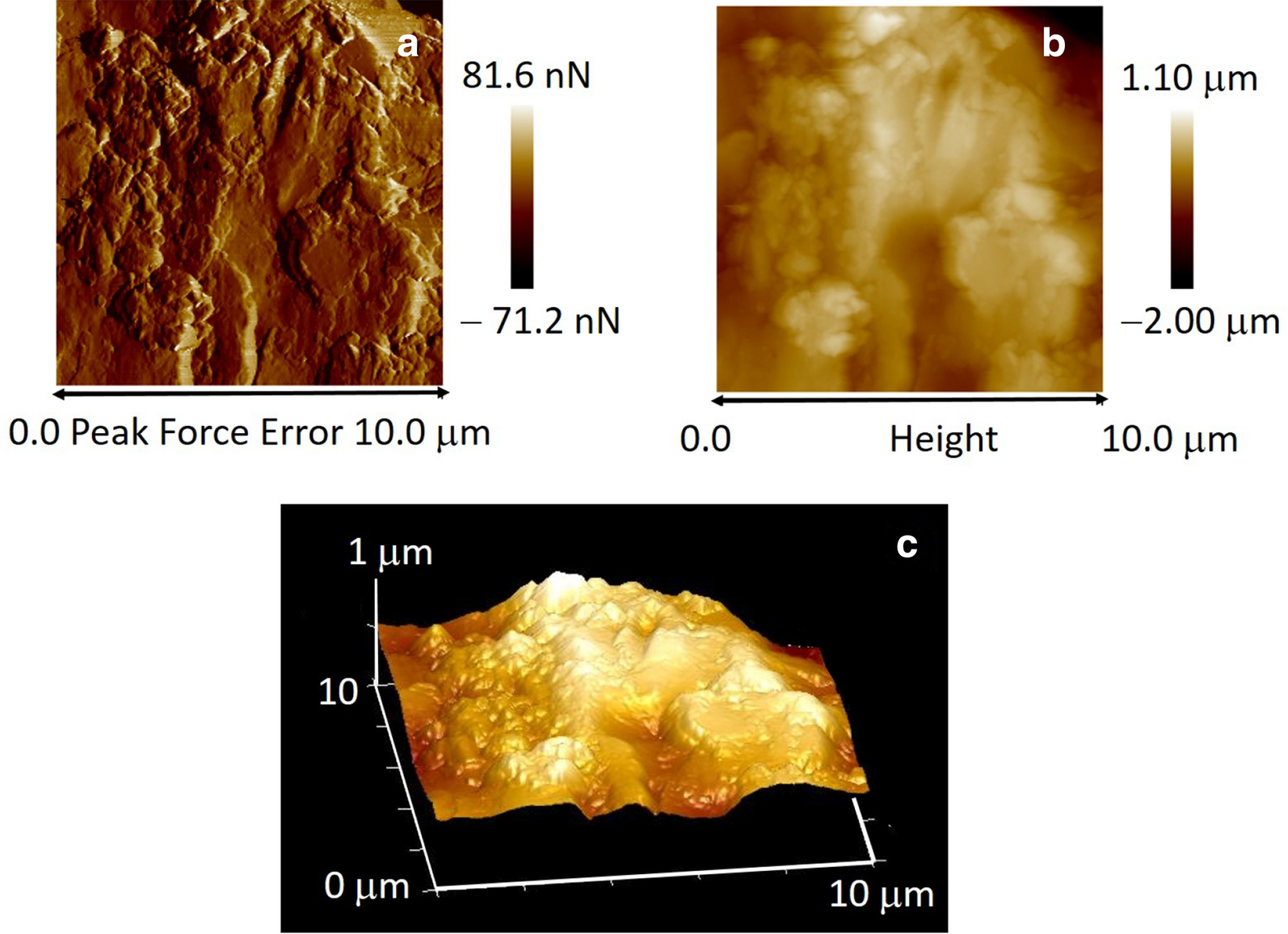 Fig. 4