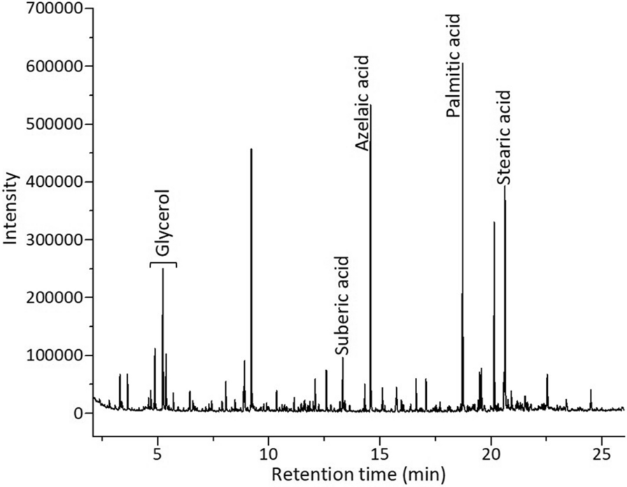 Fig. 3