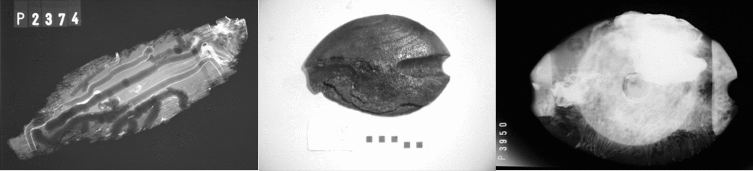 Fig. 3