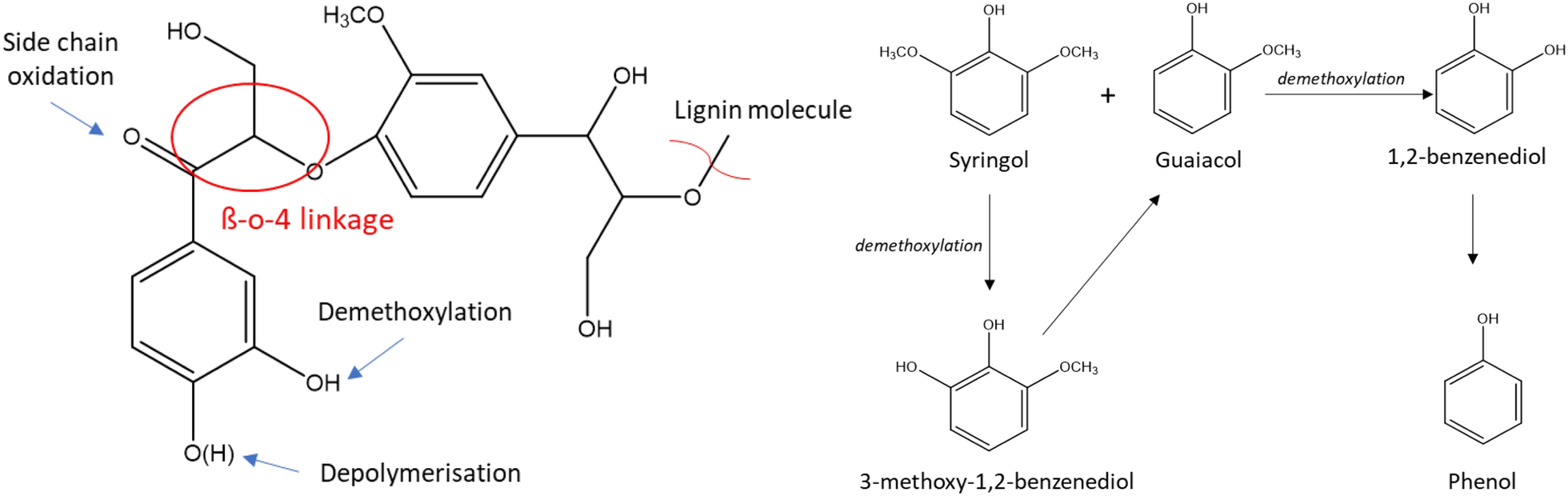 Fig. 9