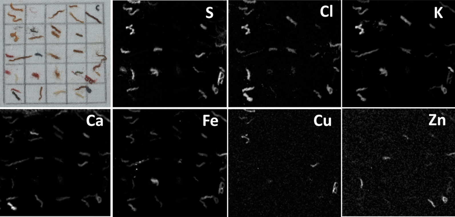 Fig. 8