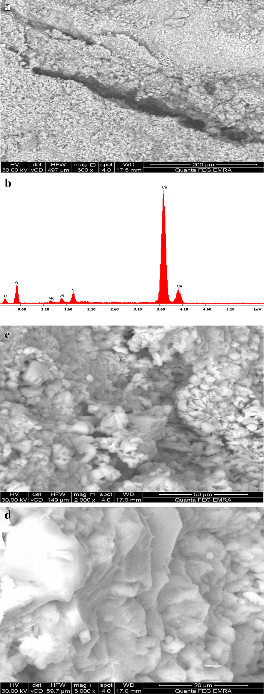 Fig. 10