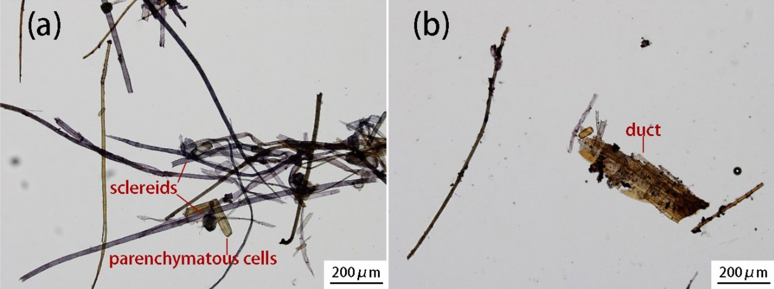 Fig. 11