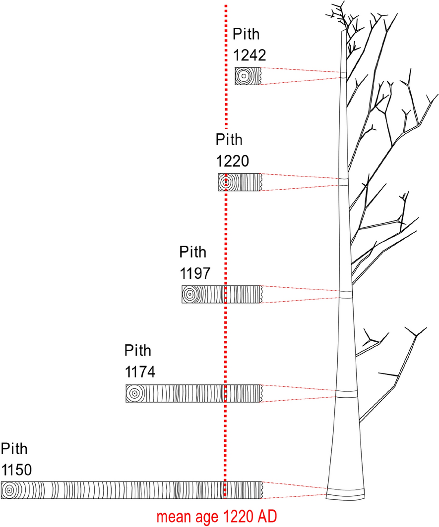 Fig. 1