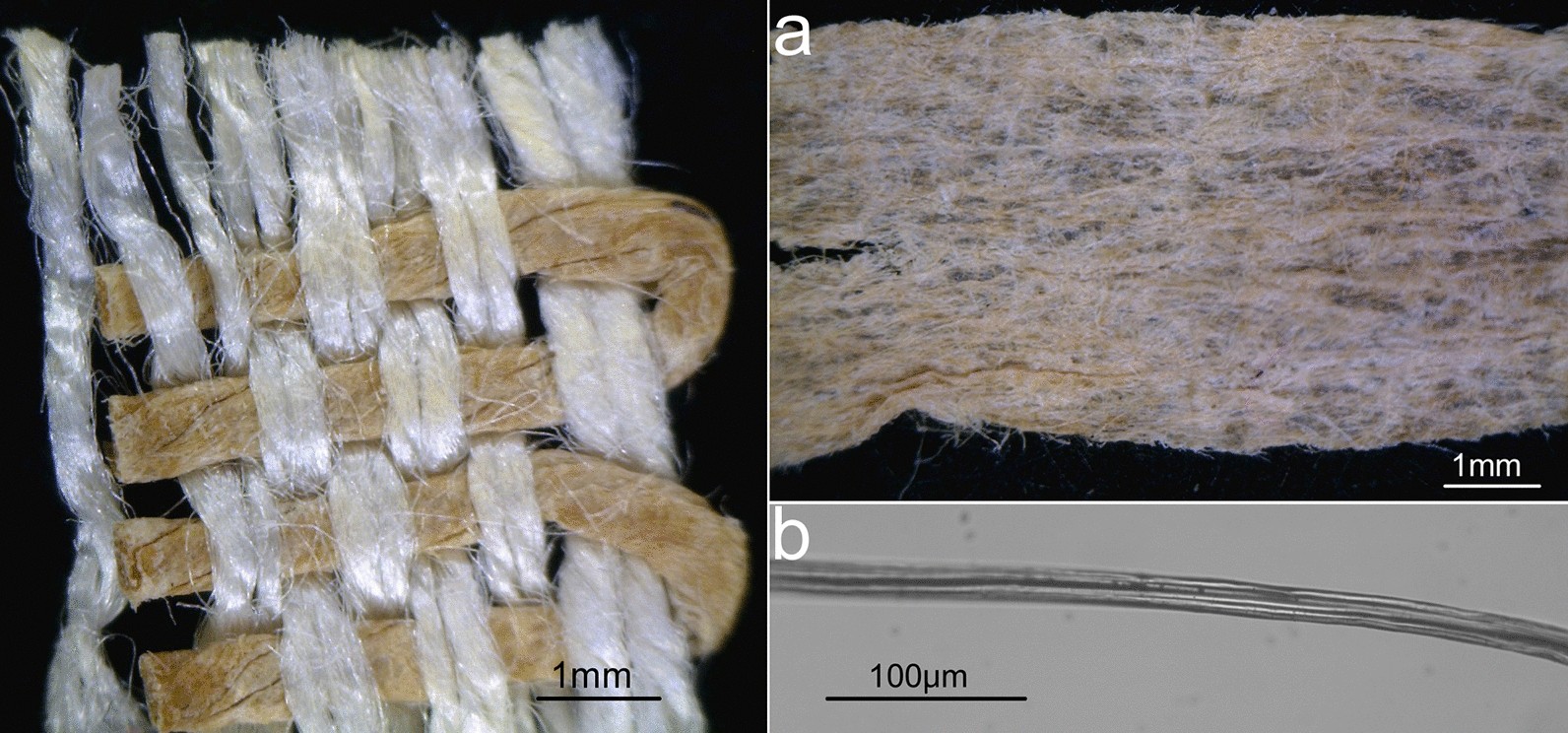 Fig. 3