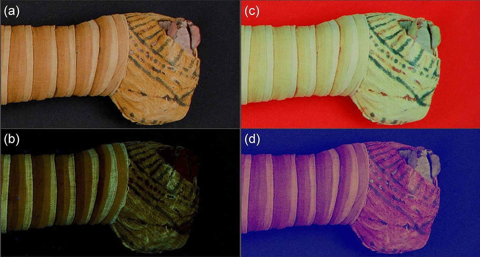 Fig. 1