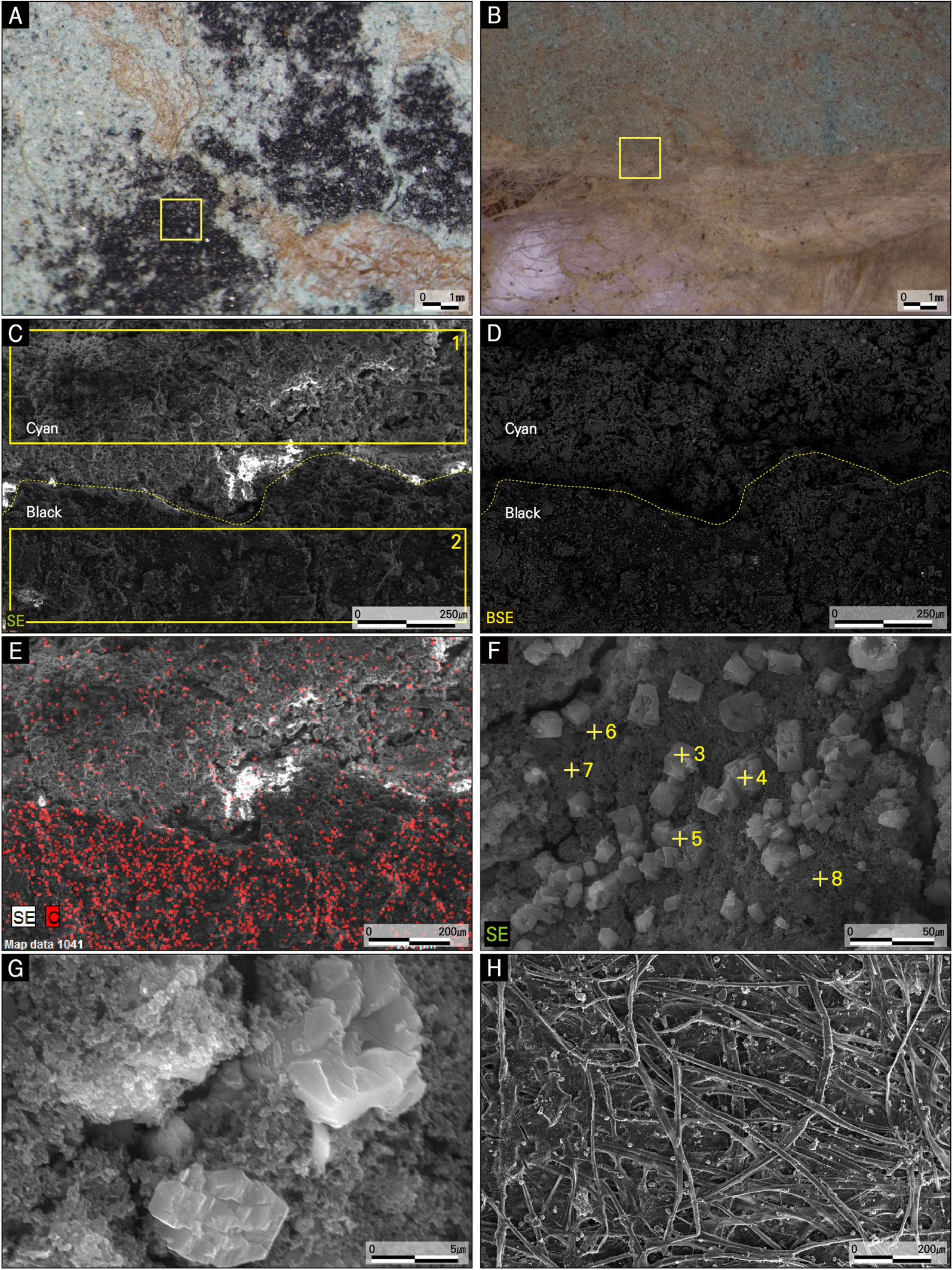 Fig. 8