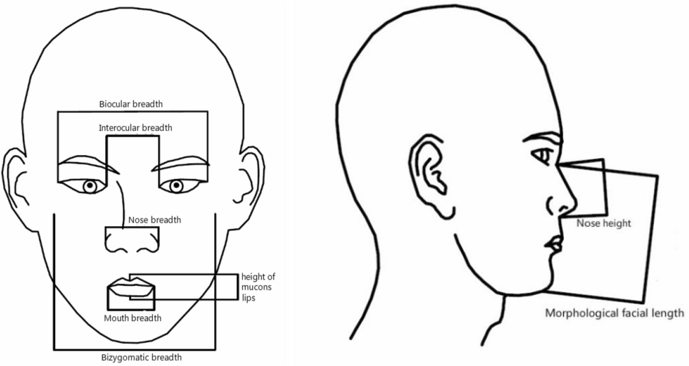 Fig. 9