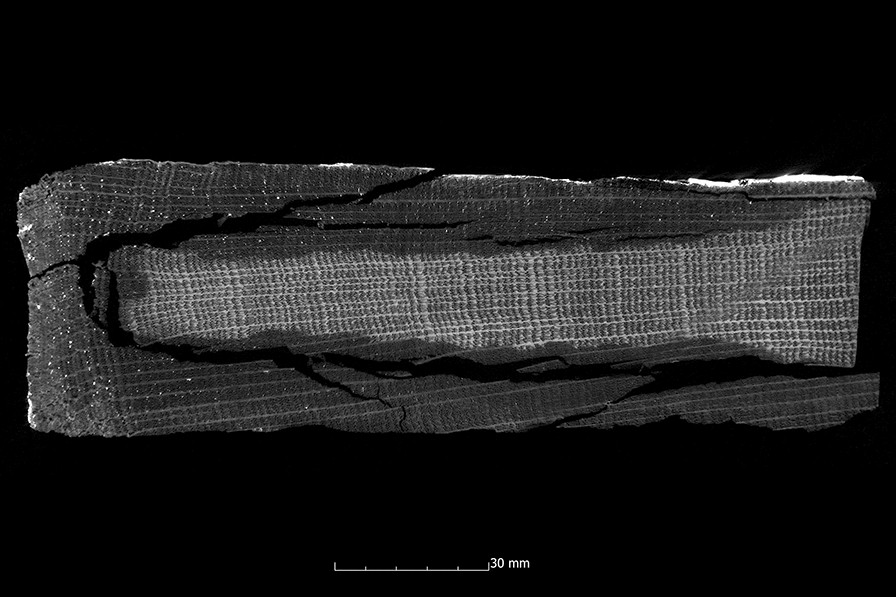 Fig. 13