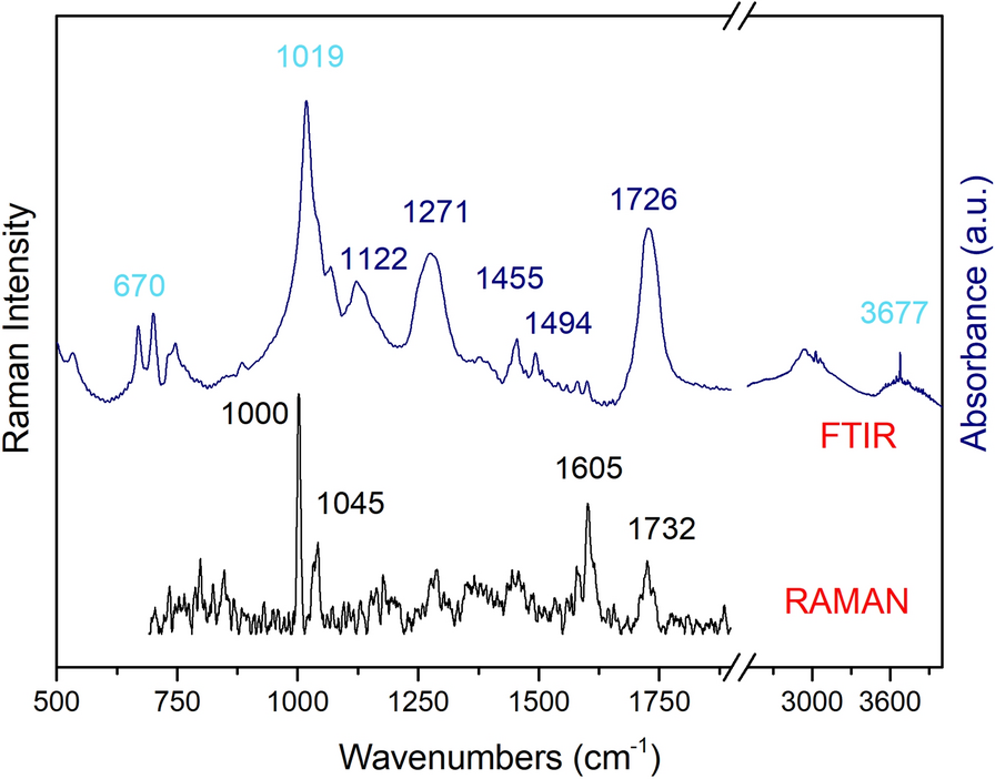 Fig. 7