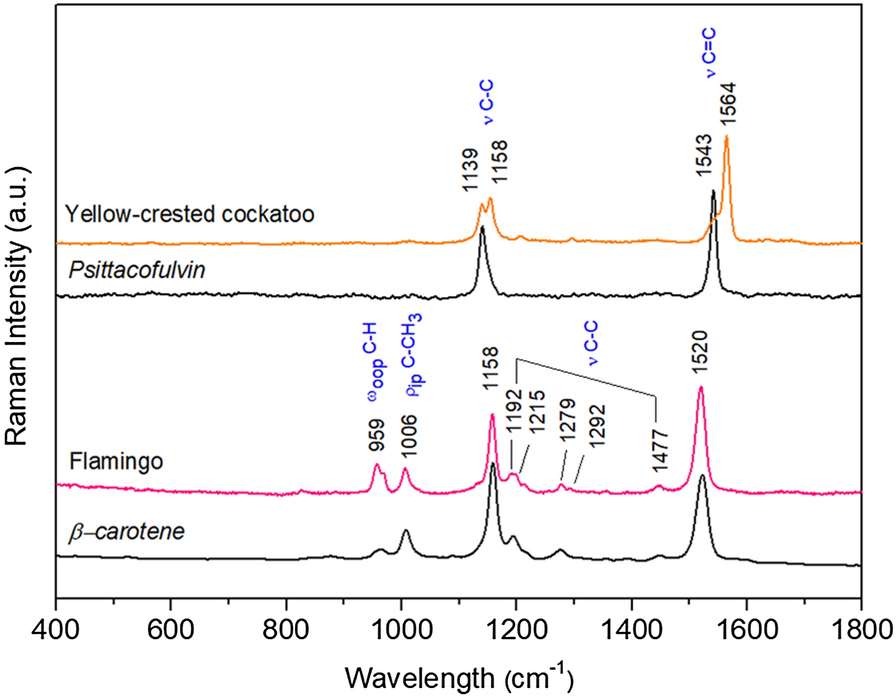 Fig. 2