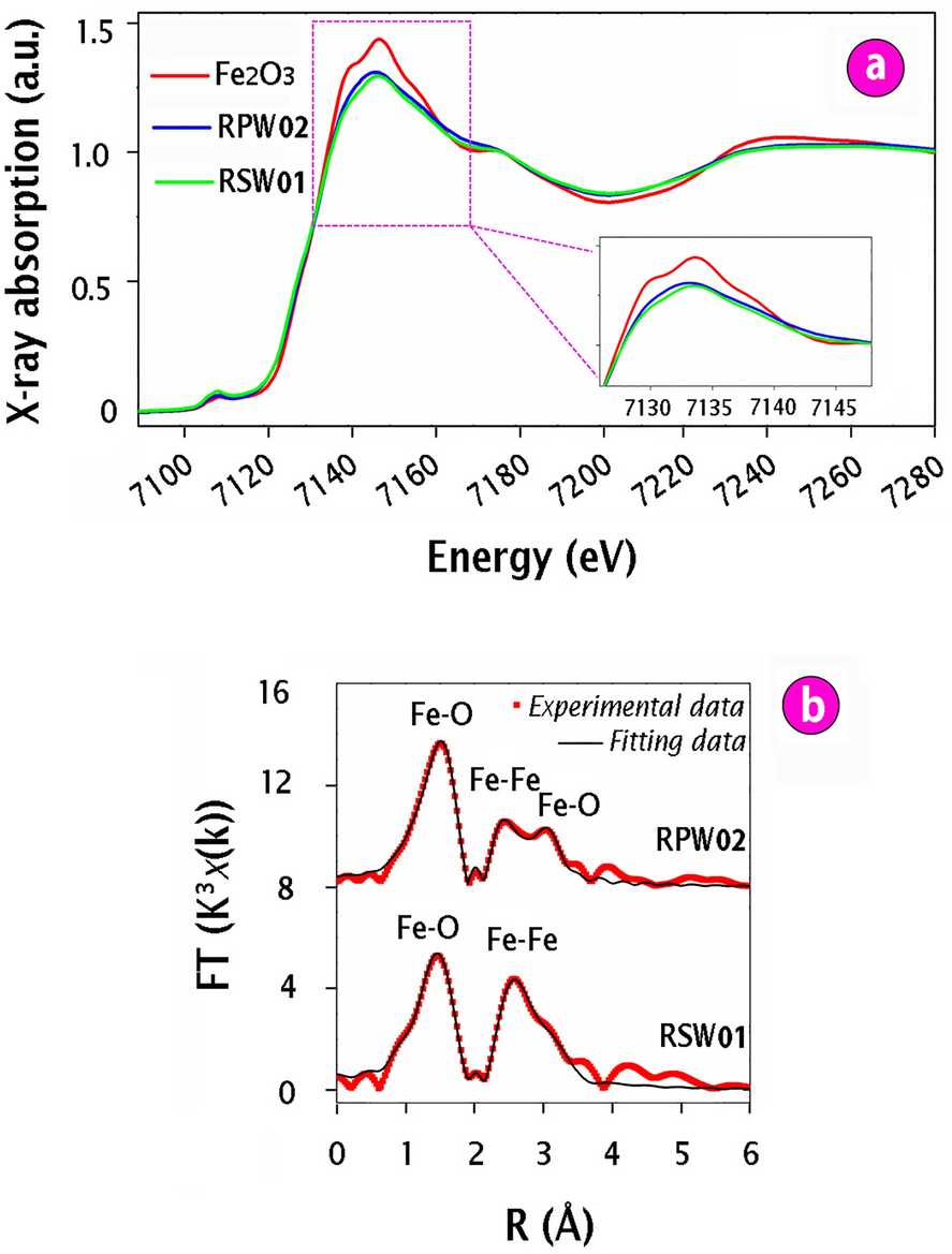 Fig. 10