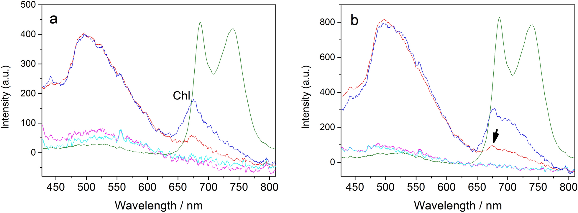 Fig. 10