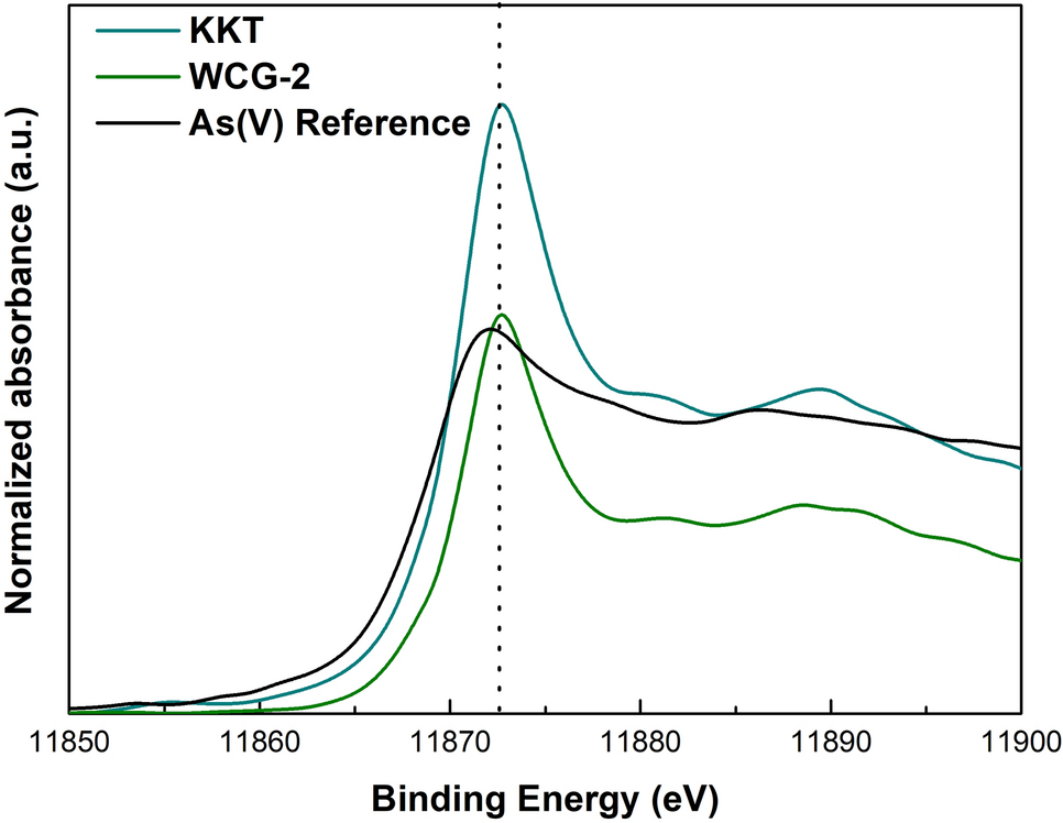 Fig. 10