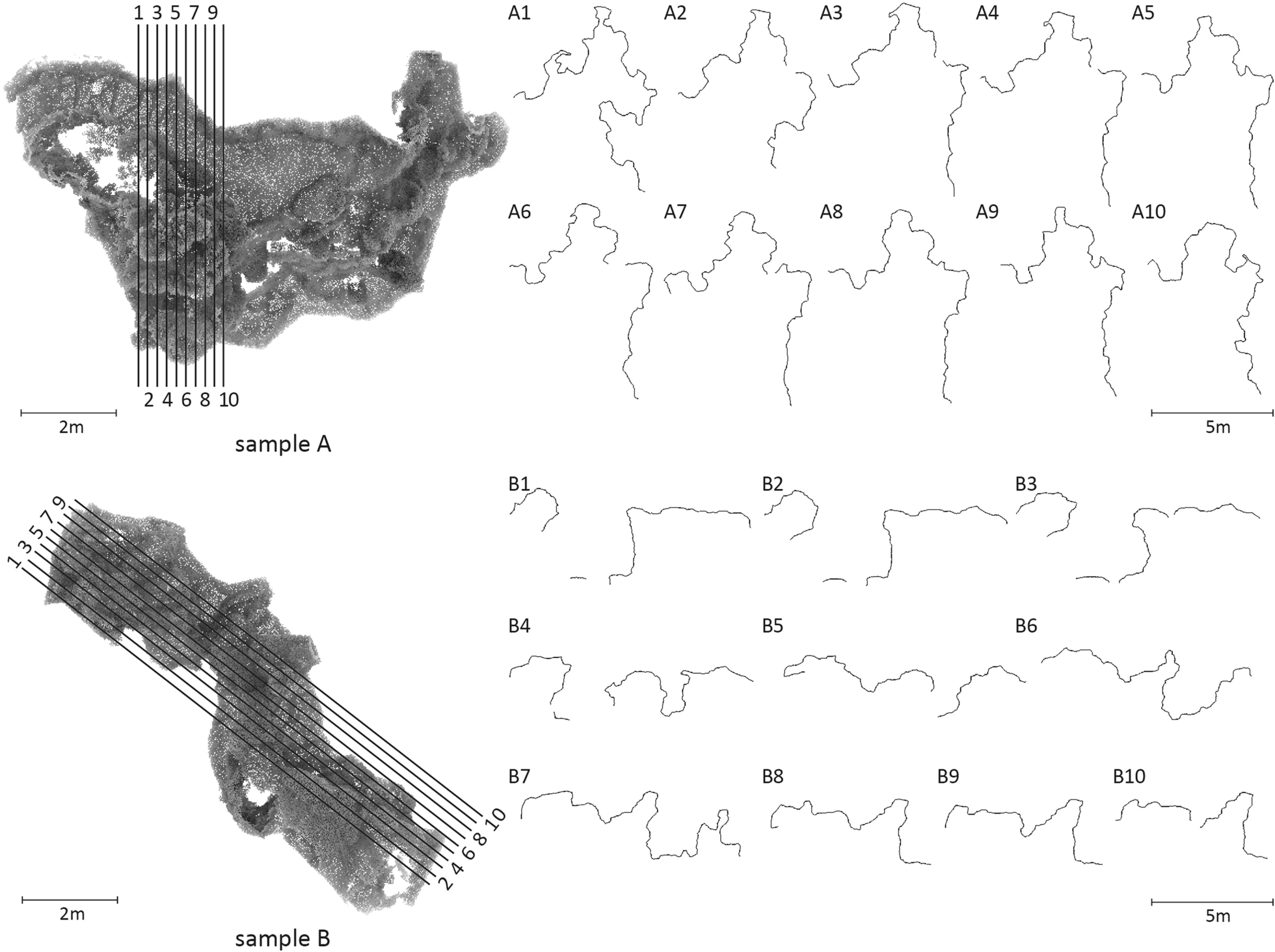 Fig. 7