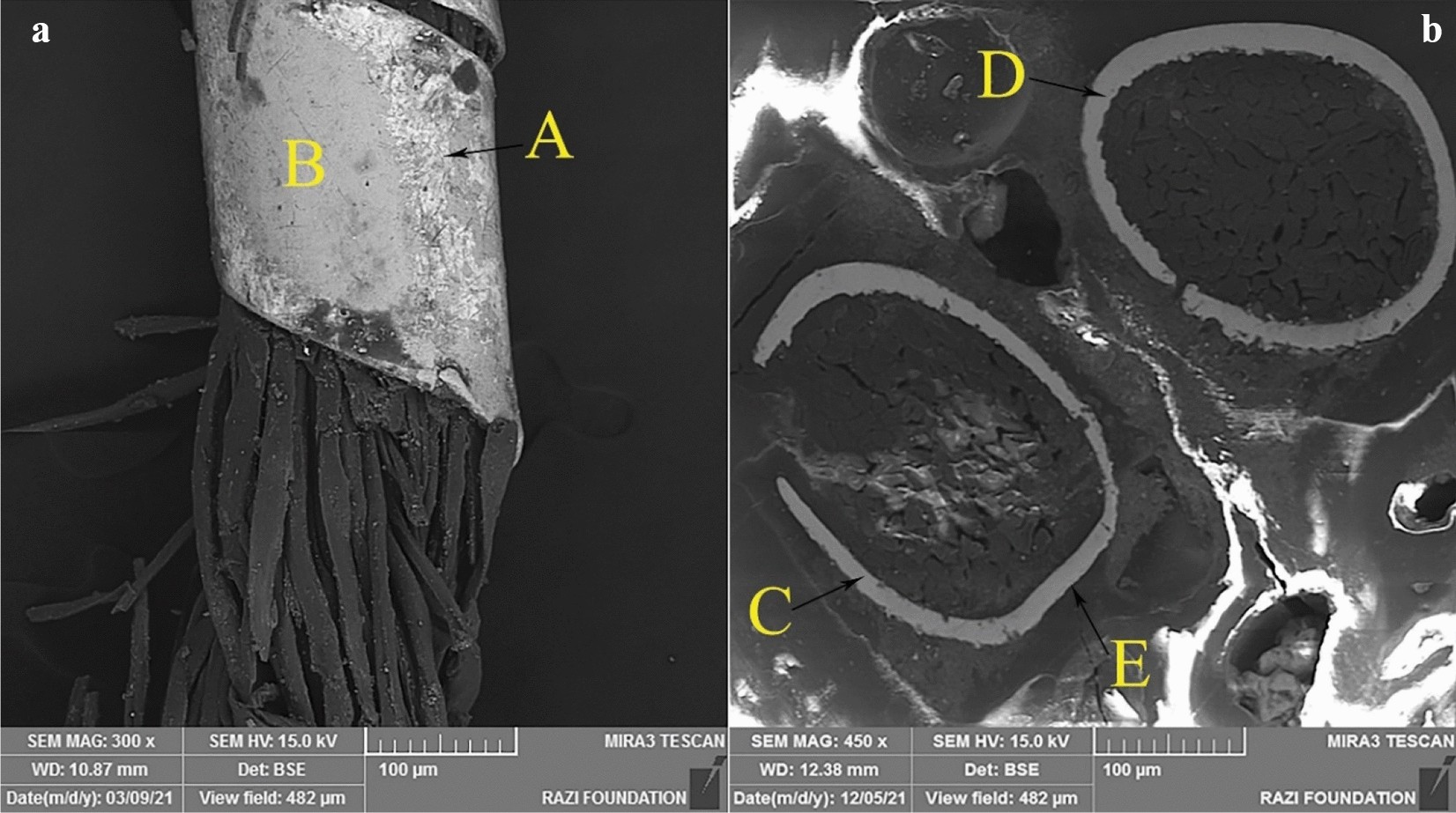 Fig. 8