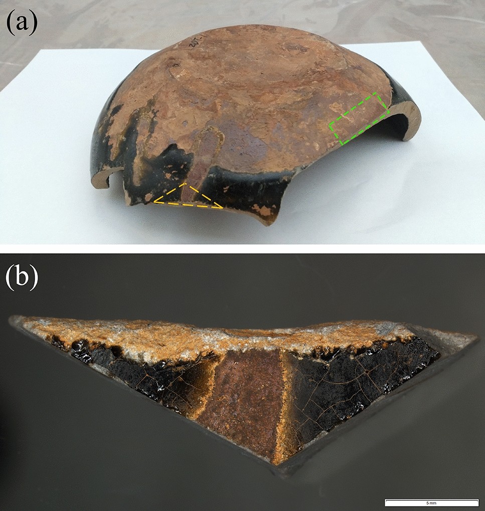 Fig. 1