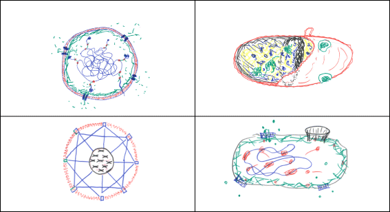 Fig. 6