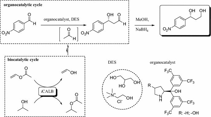 Scheme 1