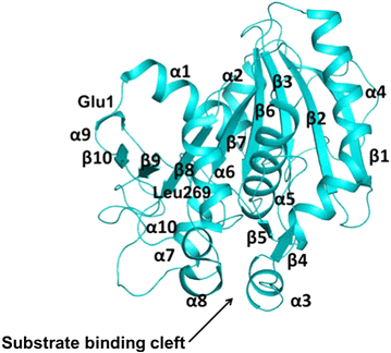 Fig. 3