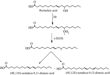 Scheme 5