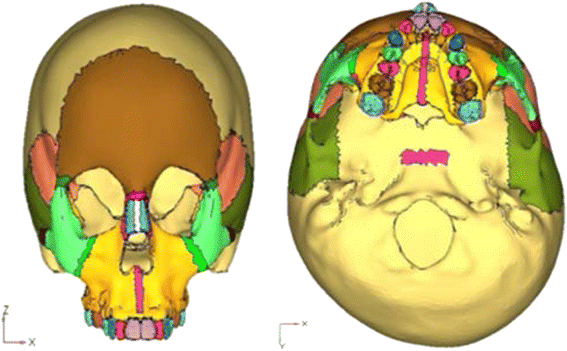 Fig. 1